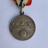 Medaglia  risorgimento 50 anni  regno d’italia