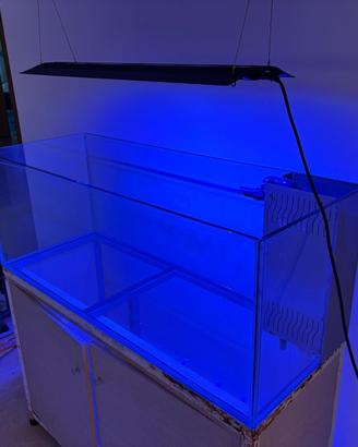 Acquario marino