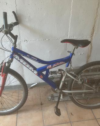 Bicicletta