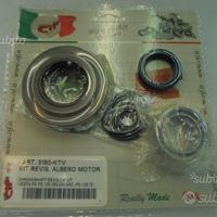Kit revisione albero motore piaggio vespa px T5