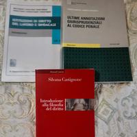 Libri e saggi diritto e giurisprudenza usati
