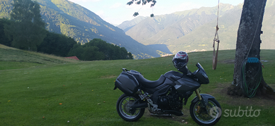 Triumph tiger 1050 se abs 2012