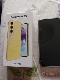 Samsung Galaxy A55 256 GB