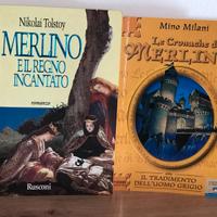 Lotto 2 Libri Leggende Cronache Mago Merlino Artù