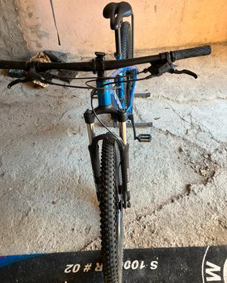 Bici trex
