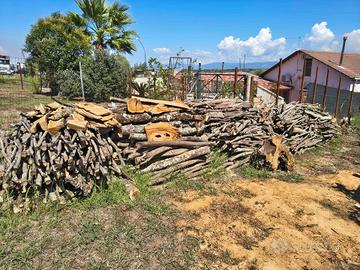 Legna da ardere di Olivo/Ulivo