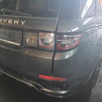 ricambi Land rover Discovery 2024 D204DTY