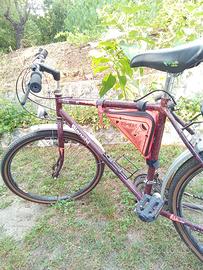 Bicicletta Mountain Bike