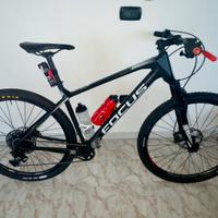 Focus Raven 29 L carbonio