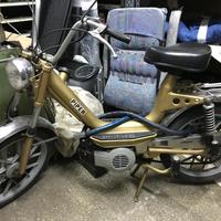 Cimatti 50