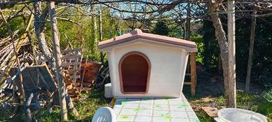 cuccia per cane rimedia taglia