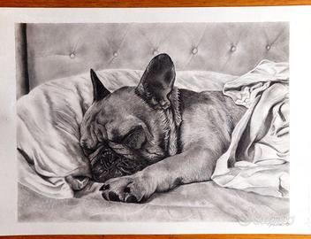 QUADRO BULLDOG FRANCESE