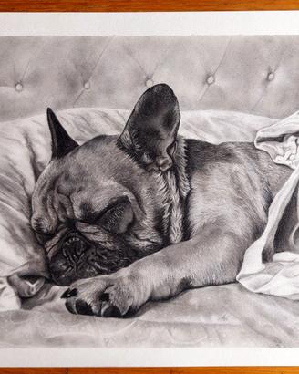 QUADRO BULLDOG FRANCESE