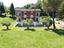 Immagine 27