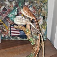 ceramica artistica Italy Zaccagnini 