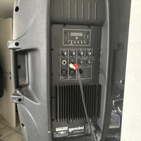 COPPIA CASSE  MkII live 230v piu staffe