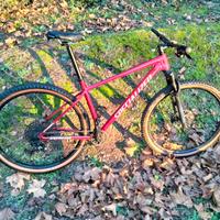 MTB specialized
