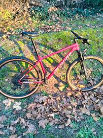 MTB specialized
