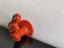 Immagine 4