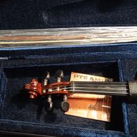 Violino da studio 4/4 Amplificato con custodia ed
