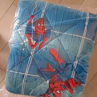 Trapunta letto singolo Caleffi Spiderman