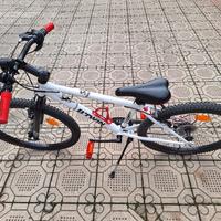 Bici 24"