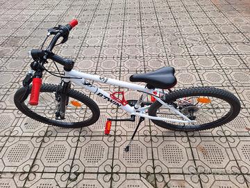 Bici 24"