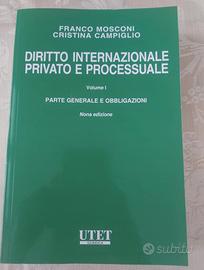 Diritto Internazionale Privato e Processuale 