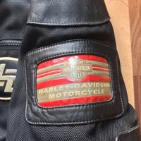 Giubbotto Harley