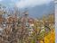 Immagine 13