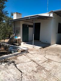 Terreno agricolo uliveto