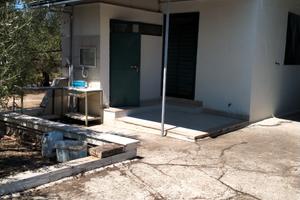 Terreno agricolo uliveto