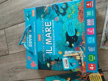 Gioco Attività Sassi IL MARE