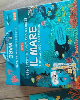 Gioco Attività Sassi IL MARE