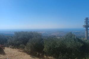 SIANO Contrada S. Domenica - Terreno agricolo