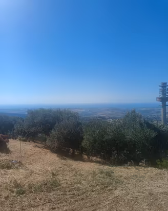 SIANO Contrada S. Domenica - Terreno agricolo