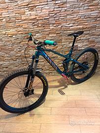 Canyon Spectral AL: Top Upgrade DT Swiss/Renthal
