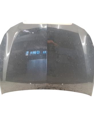 Cofano anteriore Lancia Delta 3° 1.6 MJT del 2009