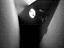 Immagine 29