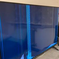 Lg nanocell 4k 55 pollici SCHERMO ROTTO