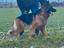 Immagine 1