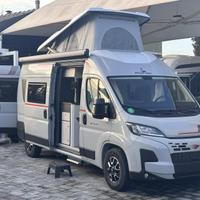 ROLLER TEAM Livingstone 2020 Livingstone Sport 7 A