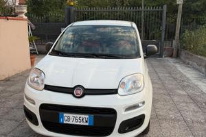 Fiat Panda 1.2 anno 2020