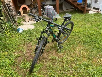 Bicicletta