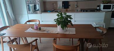 Tavolo cucina design e sedie