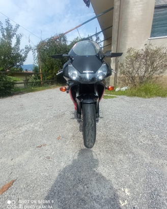 Honda cbr 954 rr