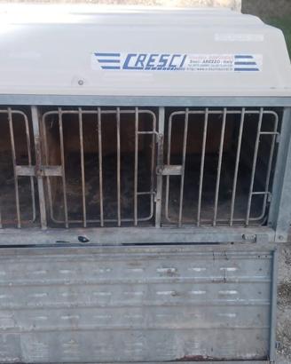Carrello rimorchio per trasporto cani