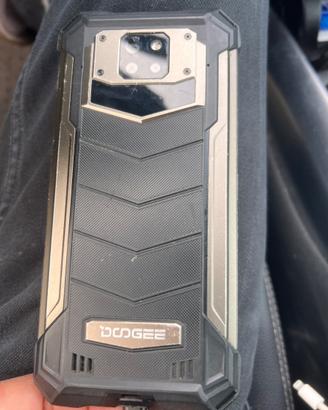 Dooge