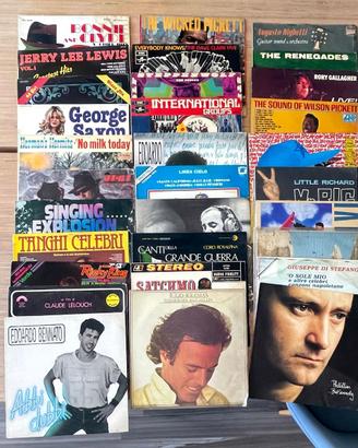 Dischi 33 giri, vinili