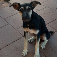 Mi chiamo Blu